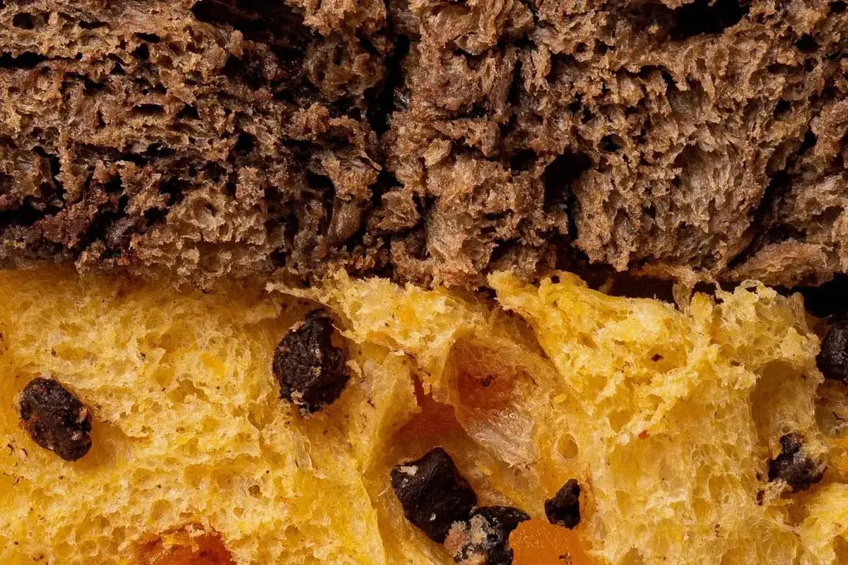 Dettaglio macro della mollica del panettone Olivieri 1882 con canditi e uvetta