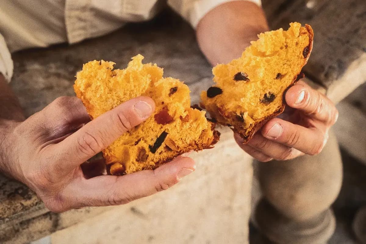 Mani che spezzano una fetta di panettone artigianale Olivieri 1882